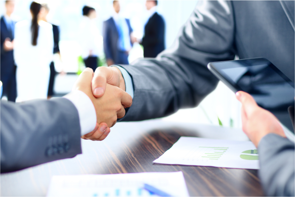 Concessione della Garanzia.png